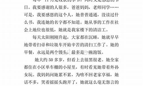 清洁工阿姨作文300字_清洁工阿姨作文3