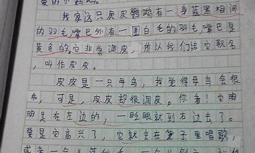 人与动物的故事作文600字_人与动物的故