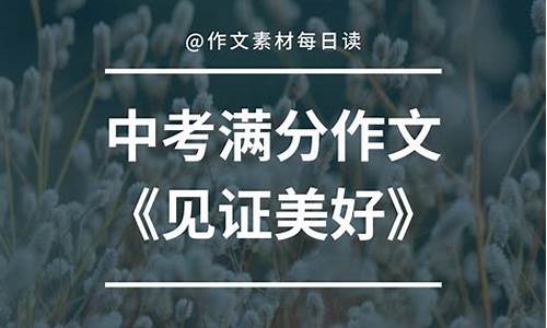 见证作文700字初三_见证作文700字初