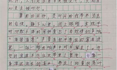 小学生观后感作文300字怎么写