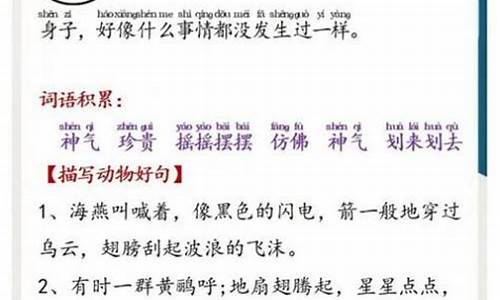 六年级美文朗读精选文章_六年级美文朗读精选文章散文