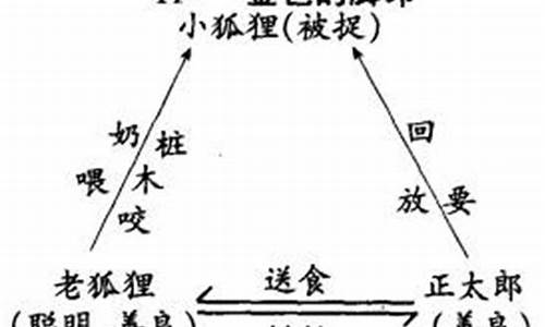 金色的脚印教学设计_金色的脚印课件