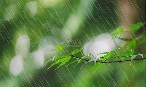 雨春_雨春生物科技有限公司