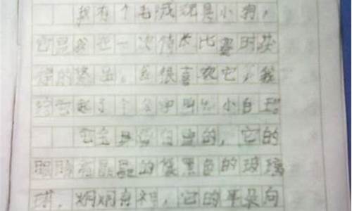 难题作文400字可抄免费_难题作文字,400字