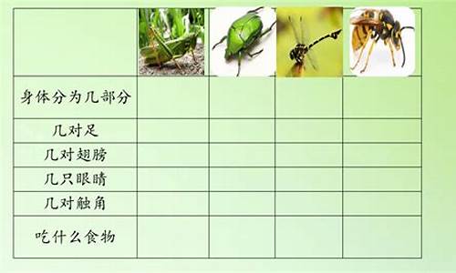 观察昆虫的作文有哪些_观察昆虫的作文有哪些题目